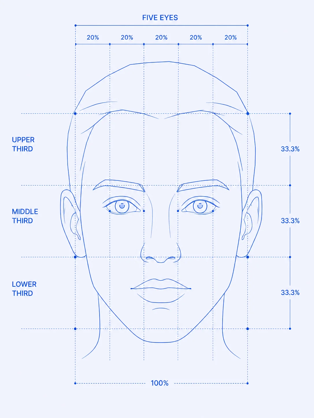 FacialHarmonyの顔の三分割と五眼のプロポーション図